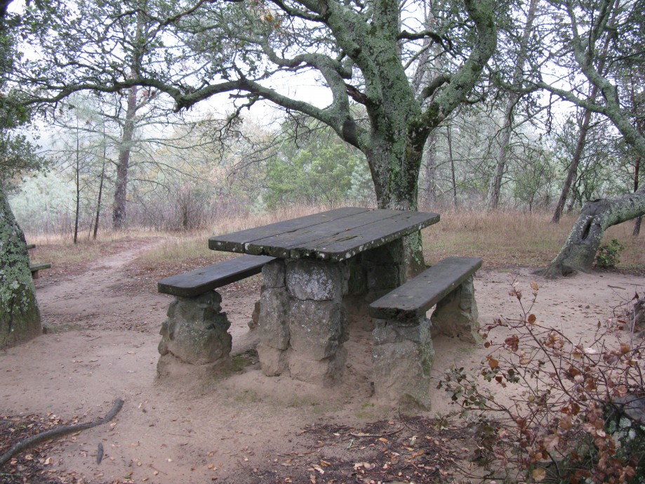 Trip photo #11/18 Very sturdily supported picnic table