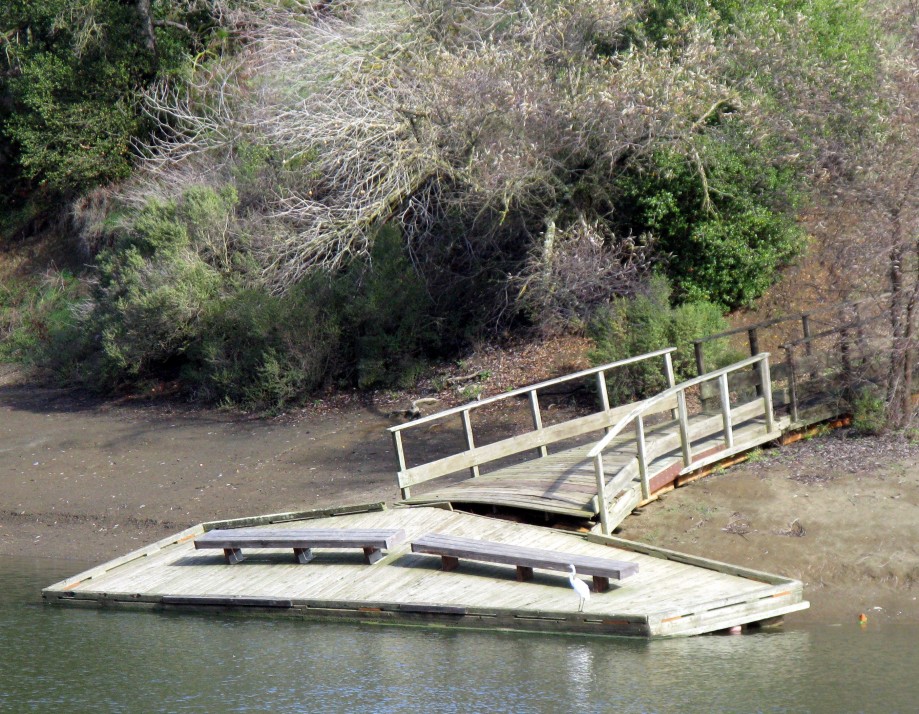 Trip photo #27/32 Lone egret and twisted dock - abnormally low water level