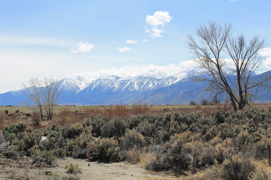 Trip photo #8/10 View from 395 and Carson River, Nevada