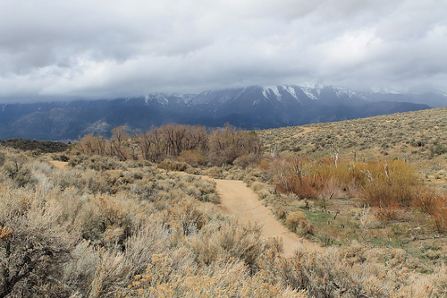 Trip photo #4/102 Jumbo Grade Trail - East of Washoe Lake  , Nevada