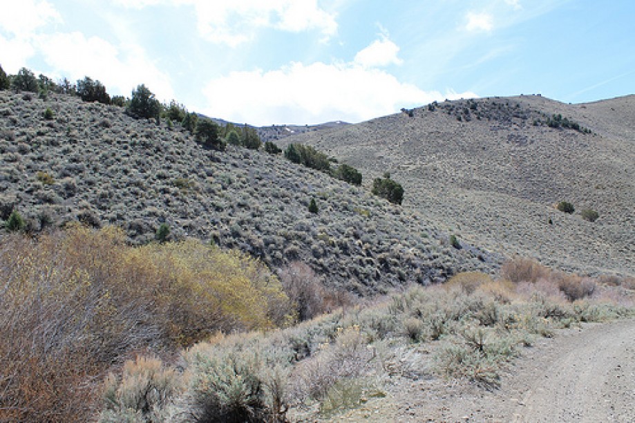 Trip photo #12/102 Jumbo Grade Trail - East of Washoe Lake  , Nevada