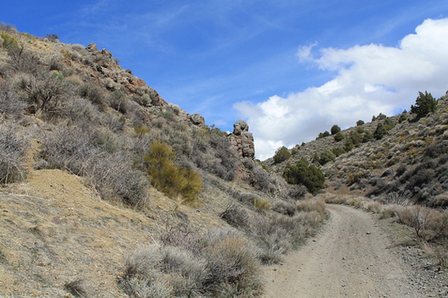 Trip photo #18/102 Jumbo Grade Trail - East of Washoe Lake  , Nevada