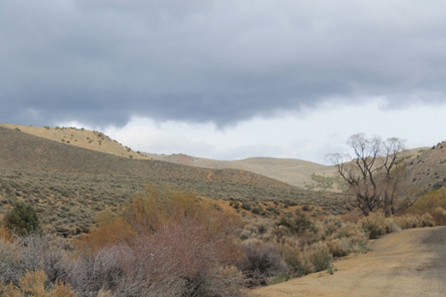 Trip photo #102/102 Jumbo Grade Trail - East of Washoe Lake  , Nevada