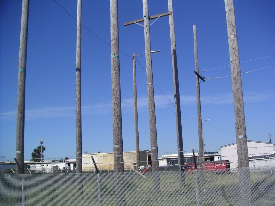 Trip photo #9/31 Utility pole training area
