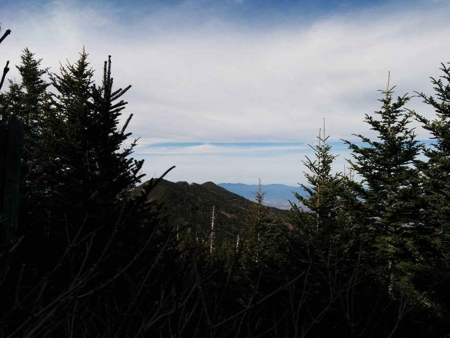 Trip photo #7/11 View on the trail to Mt. Mitchell.