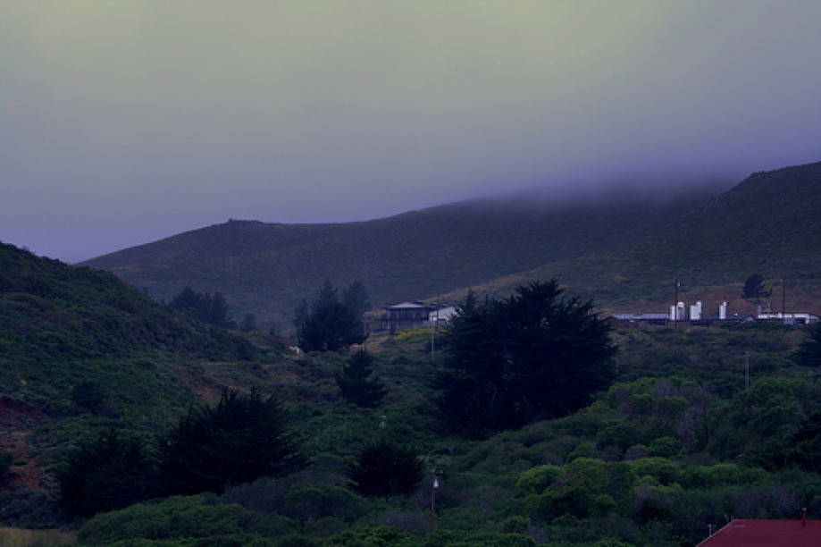 Trip photo #2/25 Fog in the Marin Headlands
