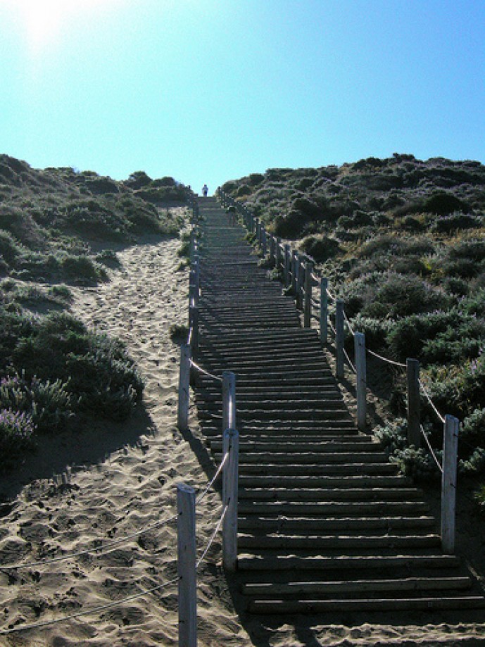 Trip photo #50/50 Sand Steps at Baker Beach