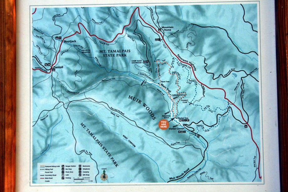 Trip photo #14/45 Muir Woods Map