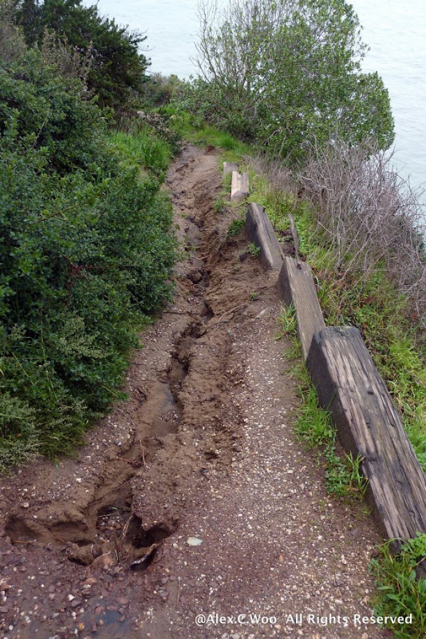 Trip photo #3/29 Path erosion