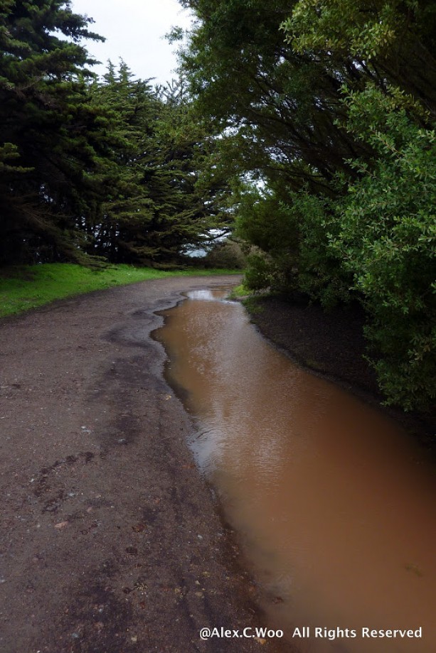 Trip photo #15/29 Puddles on Trail