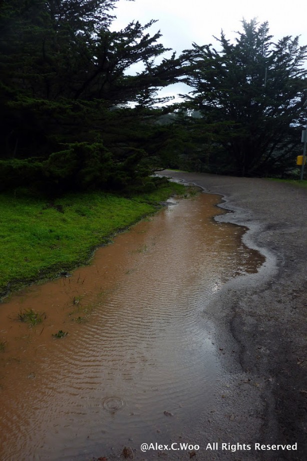 Trip photo #16/29 Puddles on Trail