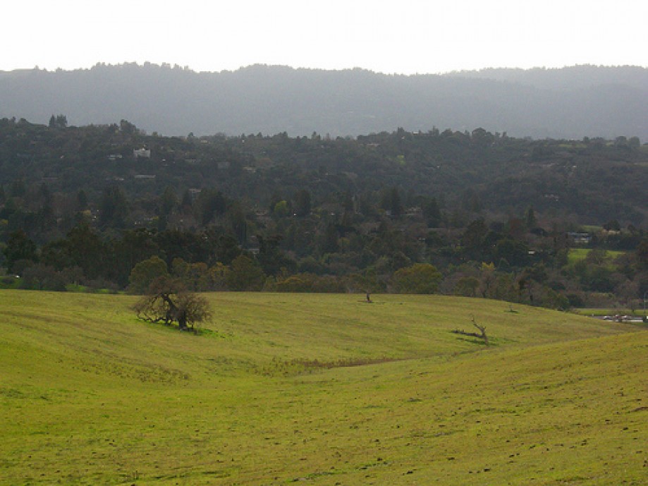 Trip photo #24/34 Toward Palo Alto Hills