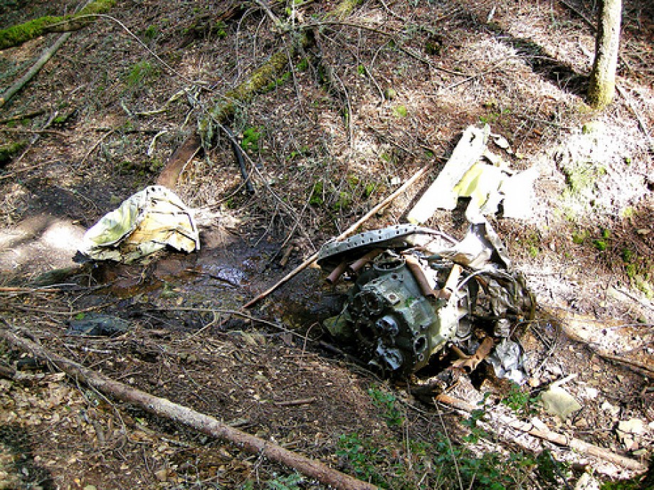 Trip photo #27/53 Motor in Light Plane Wreckage