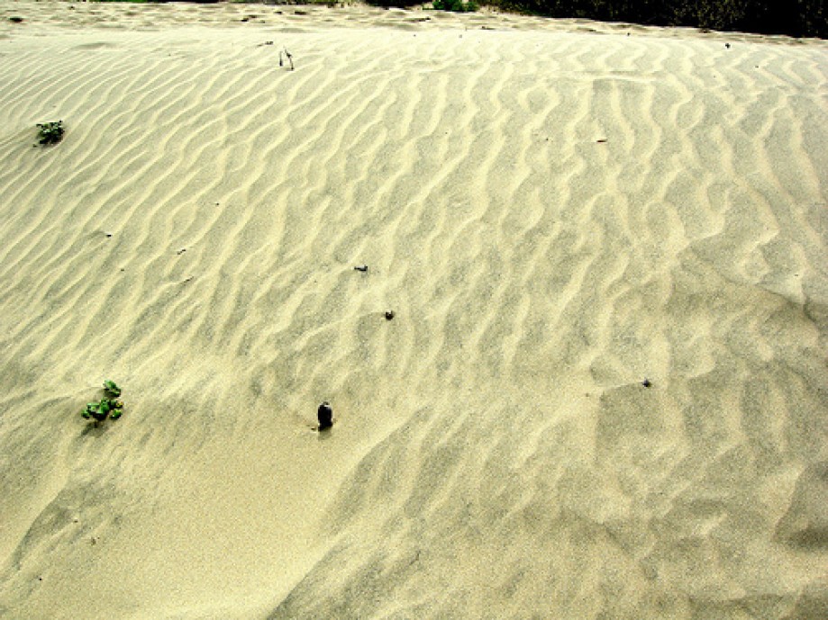 Trip photo #24/25 Sand Dunes
