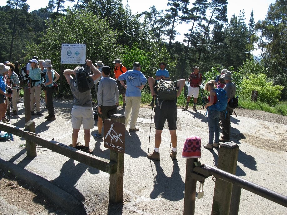 Trip photo #1/7 Circling up at the start (Skyline Gate)