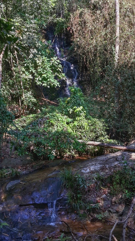 Trip photo #3/5 Last Waterfall on the trail.  Most people visit this by walking down from Doi Suthep Temple.