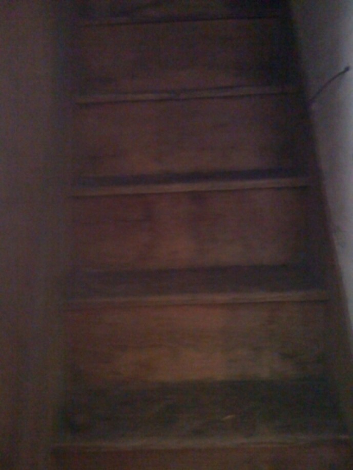 Trip photo #20/48 Stairway in Carpenter house