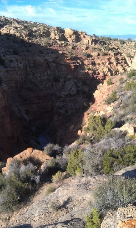Trip photo #15/17 Looking Down Into the Canyon