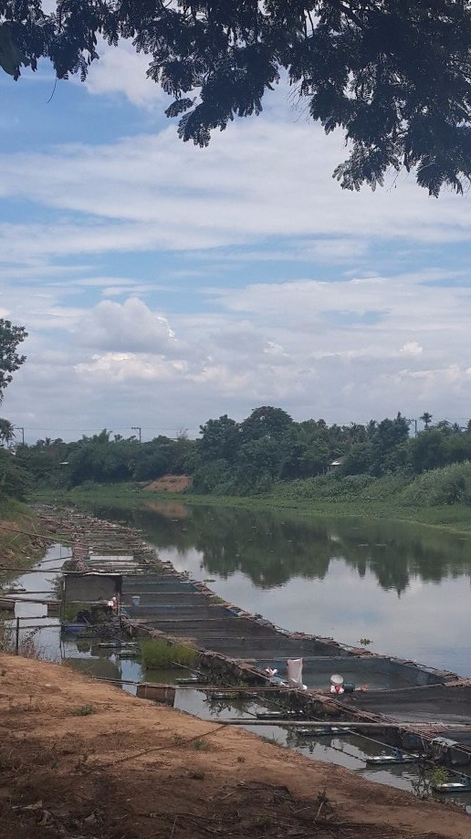 Trip photo #3/13 Fish farming in the Ping River