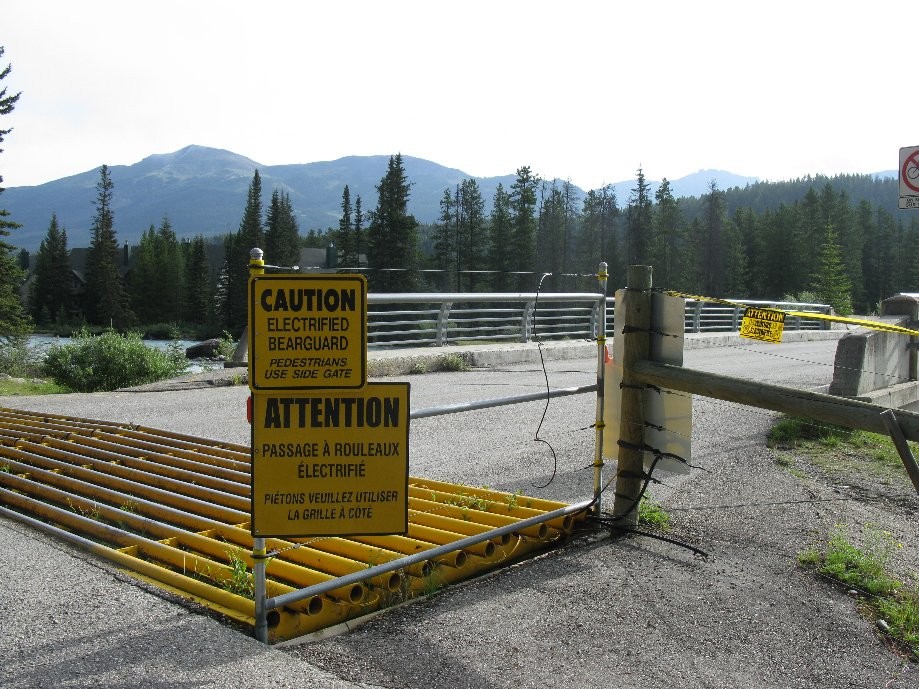 Trip photo #1/33 Electrified bear protection at Lake Louise campsite