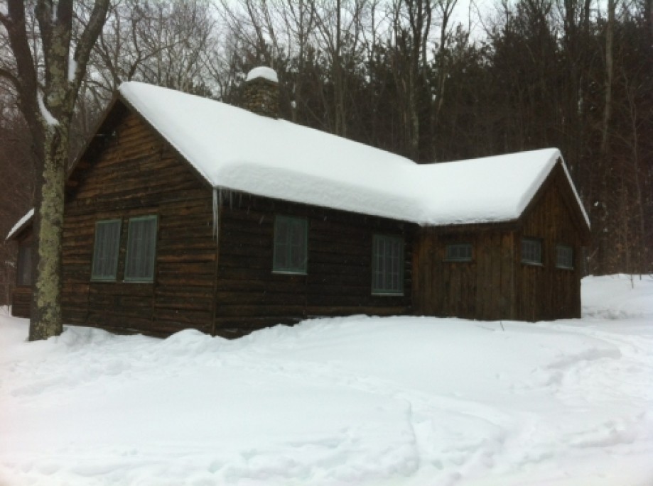 Trip photo #3/6 Forst Cabin