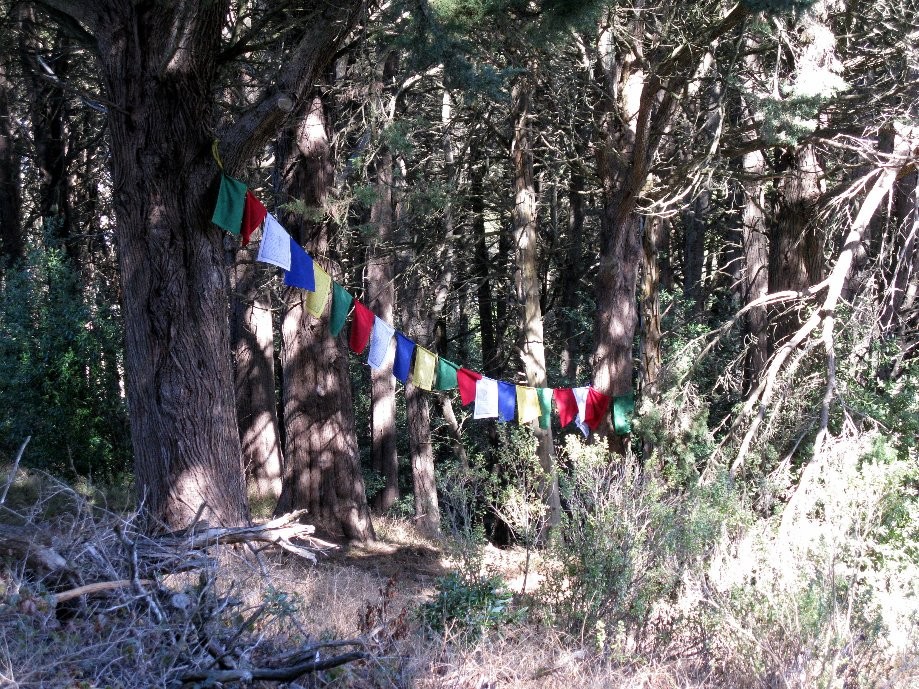 Trip photo #14/24 Tibetan Prayer Flags?