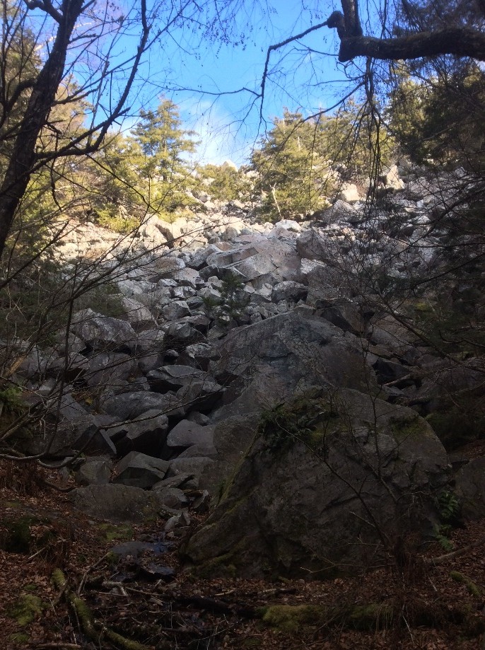 Trip photo #4/10 Bottom of the ravine: The Ice Beds