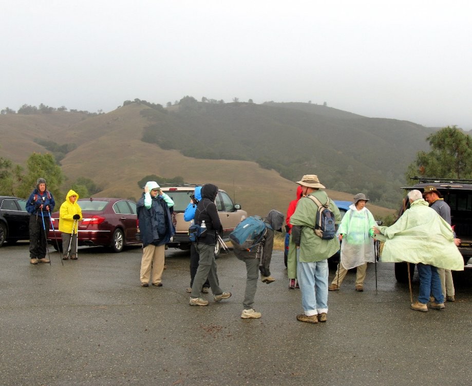 Trip photo #1/32 Gathering at Curry Pt. with light rain falling