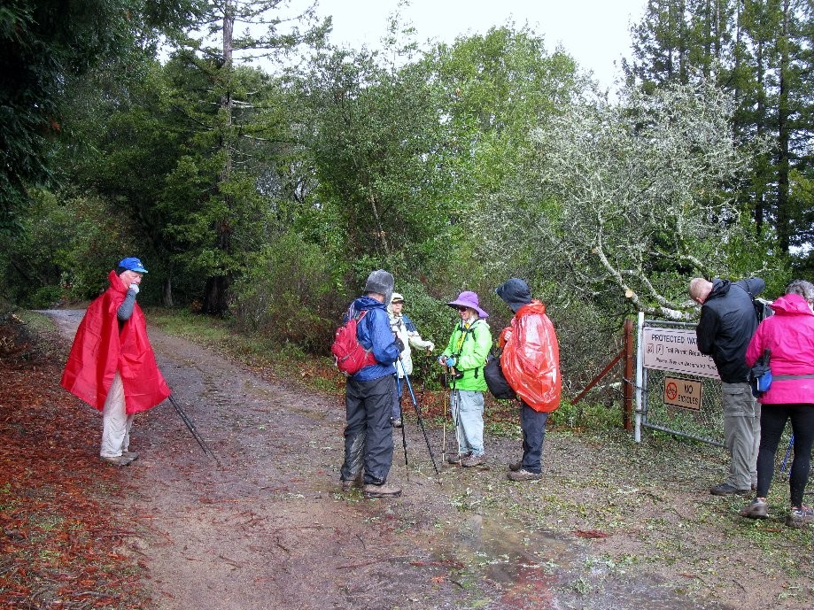 Trip photo #5/24 Exit of EBMUD land into Redwood Park at East Ridge trail