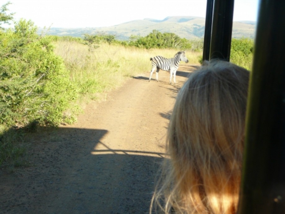 Trip photo #3/11 Ciara checking out the Zebra.