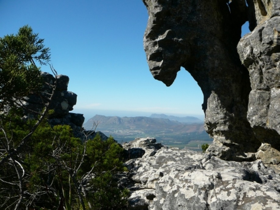 Trip photo #11/16 View from the foot of Camel Rock.