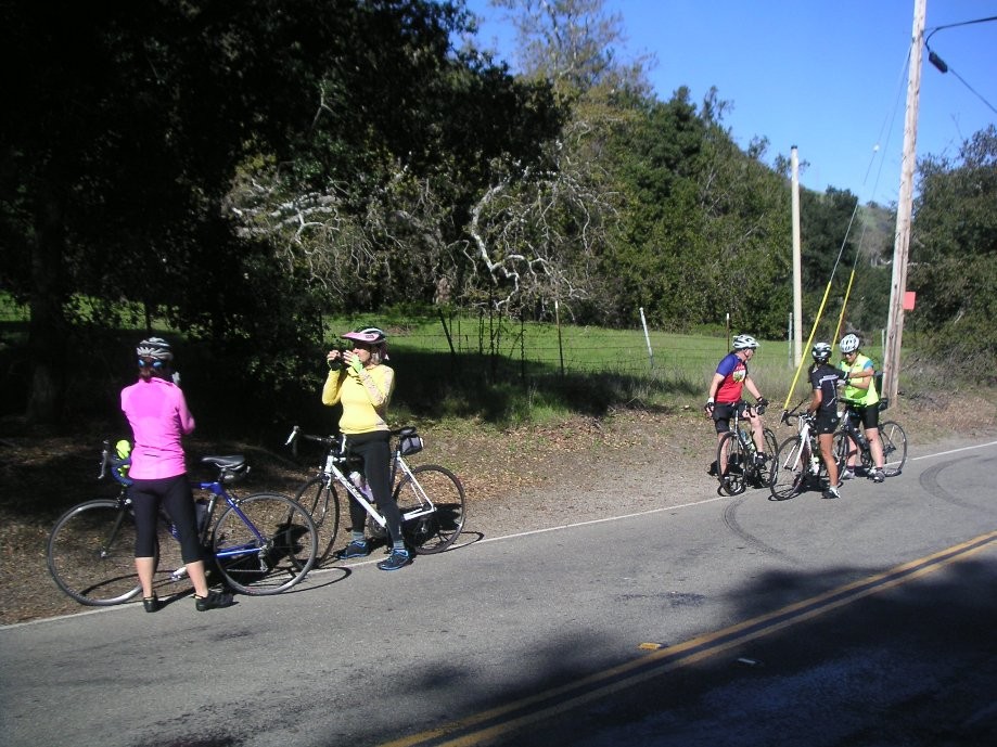 Trip photo #8/26 Regroup and optional turn-around at Geary Rd.