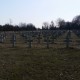 Cmentarz Żołnierzy Francuskich przy ul. Powstańców Warszawskich.