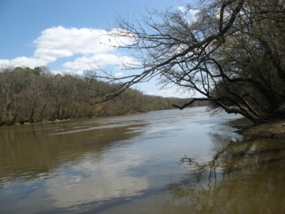 Trip photo #19/20 Campbell Creek empties into Cape Fear River