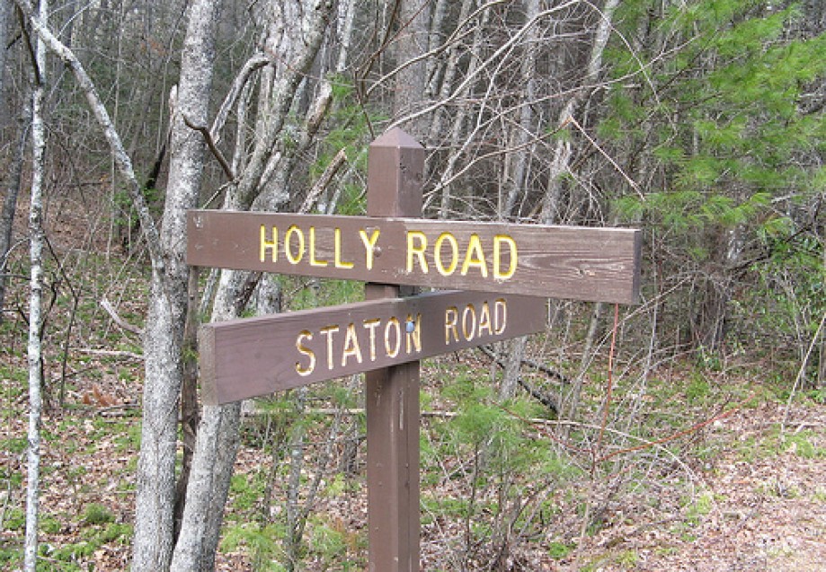 Trip photo #13/14 Holly Road trail