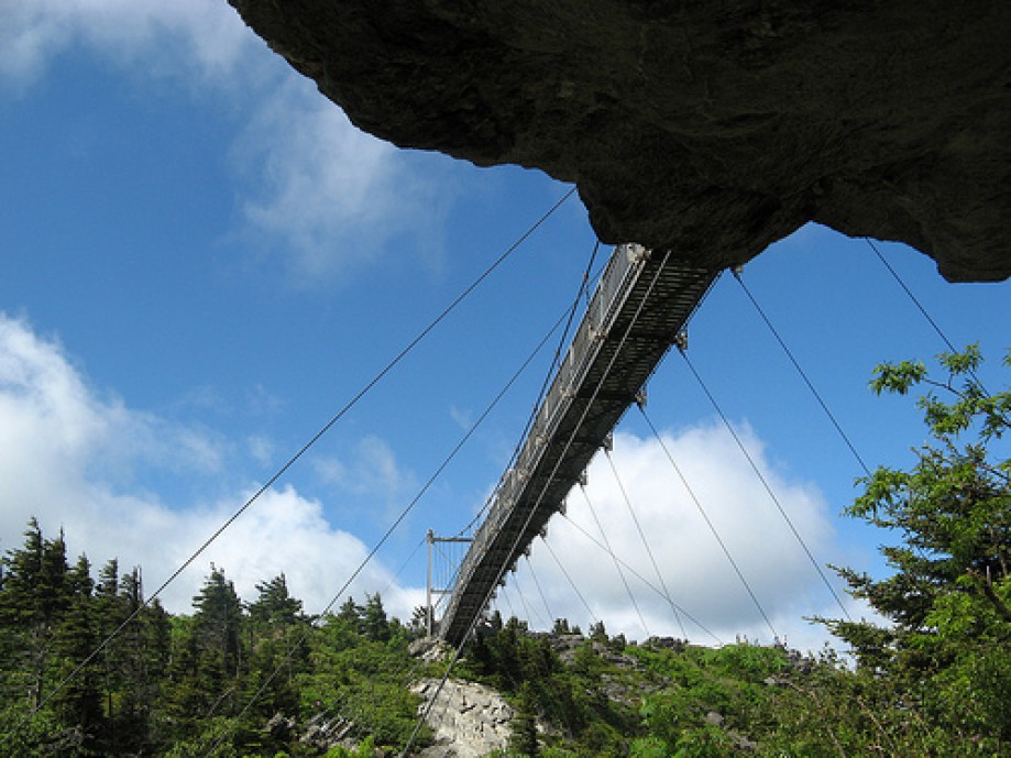 Trip photo #5/19 Bottom of Mile High Swinging Bridge from Bridge Trail