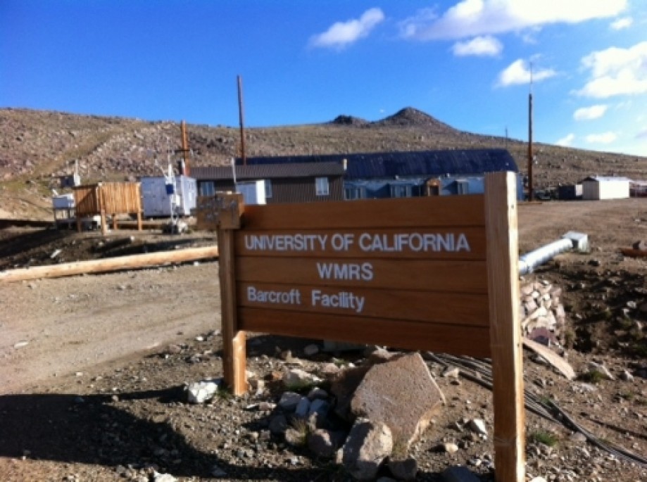 Trip photo #9/33 Univ. of Cal. research facility at 12,000 ft.