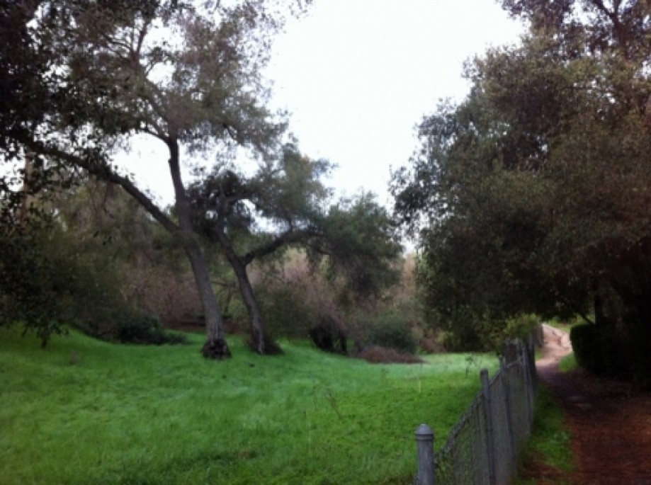 Trip photo #14/22 Beautiful private meadows on abutting properties in La Canada