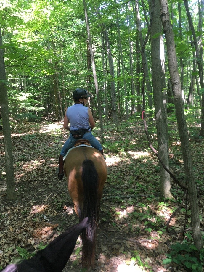 Trip photo #1/2 nancy on her new horse, Danielle