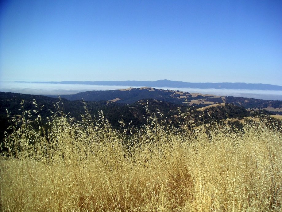 Trip photo #3/14 Loma Prieta and cloud layer over San Jose
