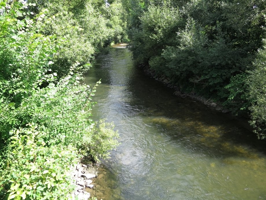 Trip photo #7/38 řeka Morava