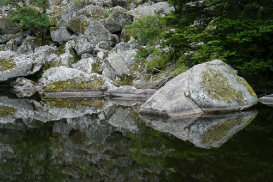 Trip photo #10/25 Lac de Fischboedle