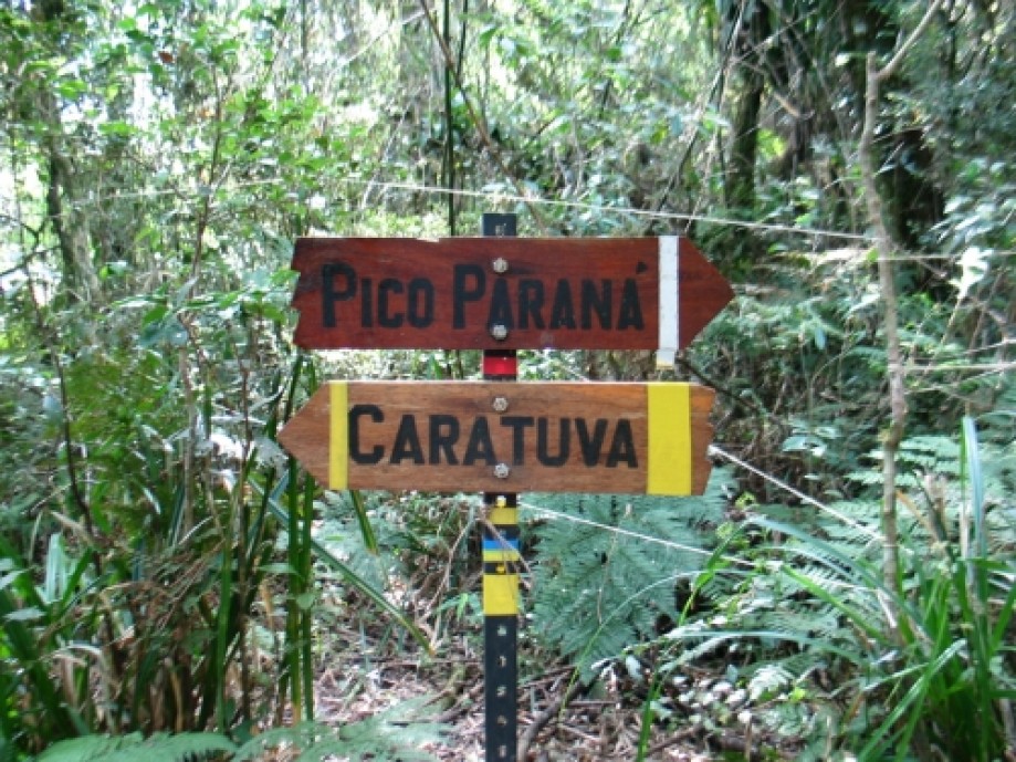 Trip photo #1/8 Fork: Caratuva - Pico Parana