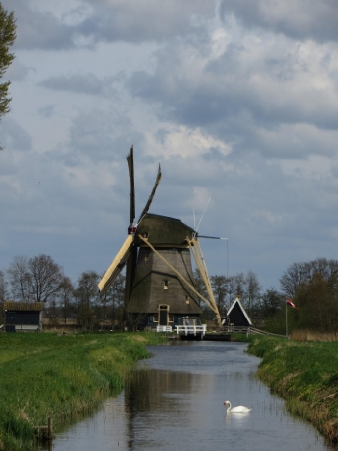 Trip photo #26/31 Loenderveense molen