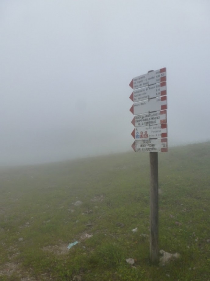 Trip photo #1/5 Sign post in the fog