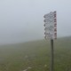 Sign post in the fog