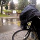 Deszcz na przystanku autobusowym