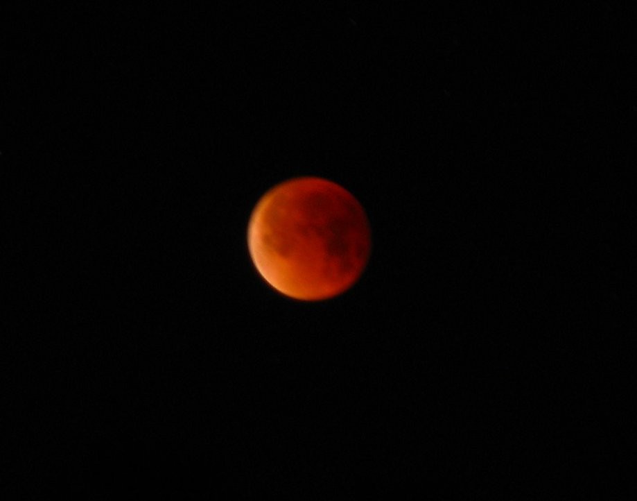 Trip photo #37/37 'Super/Blue/Blood' lunar eclipse early the next morning