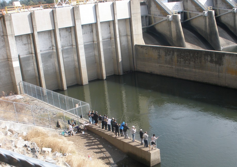 Trip photo #26/42 Popular fishing spot by dam above the hatchery