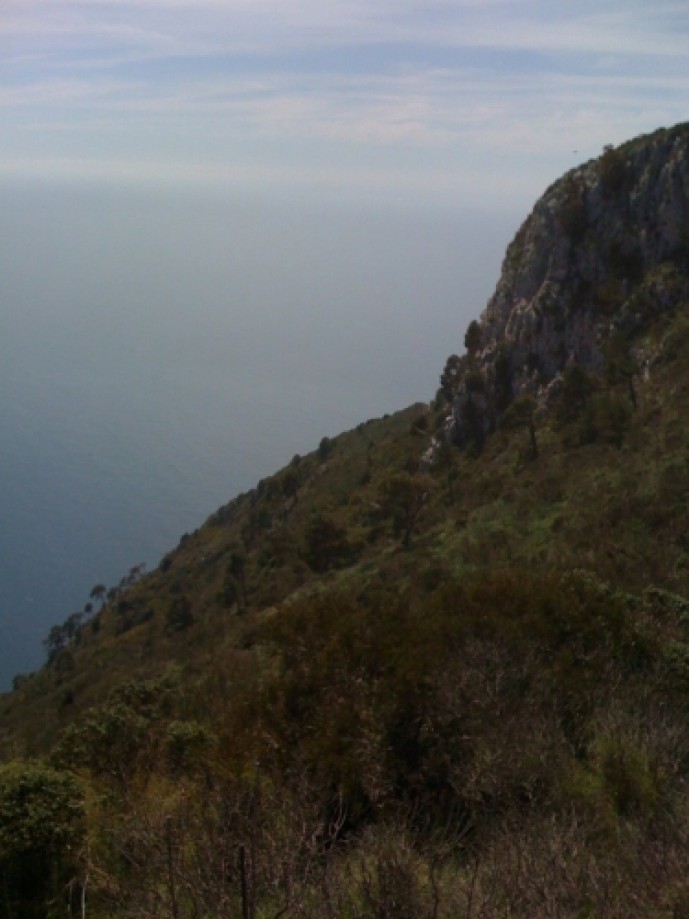 Trip photo #12/14 Isola-di-Capri,_11.jpg